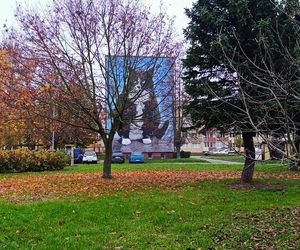 Mural z kotem Gackiem już odsłonięty