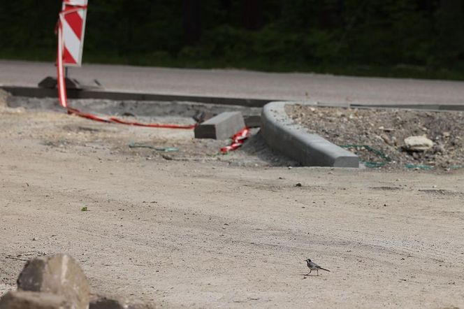 Trwa przebudowa odcinka drogi nr 928 między Mikołowem i Kobiórem