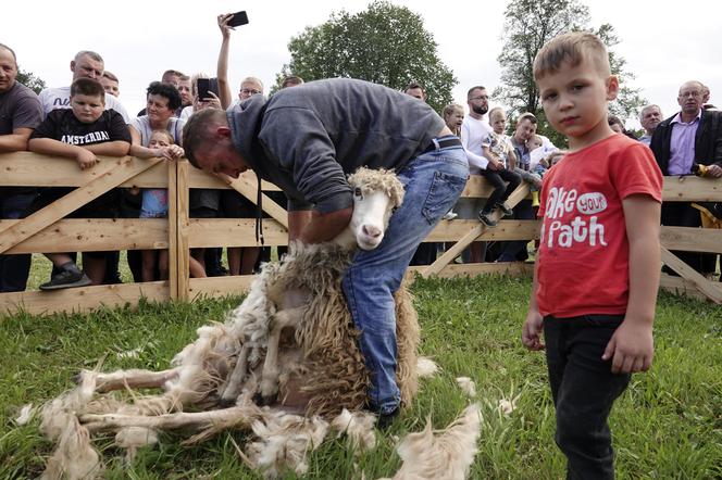 Tłumy na „AGRO Nawojowej”. Wystawę odwiedziło ponad 45 tysięcy osób [ZDJĘCIA]