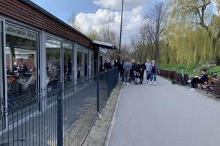 Stawiki w Sosnowcu budzą się do życia na wiosnę