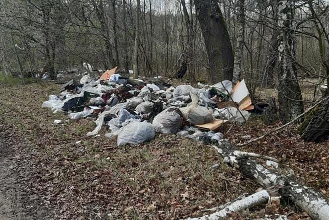 SZOK! Wyrzucili przy drodze worki z odpadami, a w środku... podpisane zeszyty