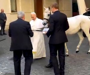 Papież Leon XIV otrzymał w środę białego konia czystej krwi arabskiej ze stadniny w Kołobrzegu-Budzistowie