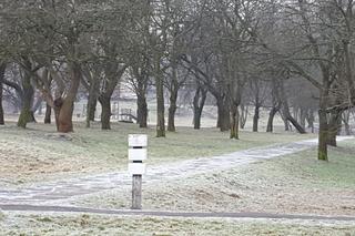 Park Grabek w Czeladzi