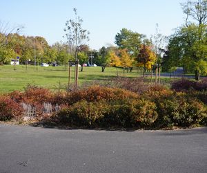 Park im. św. Jana Pawła II w jesiennych barwach