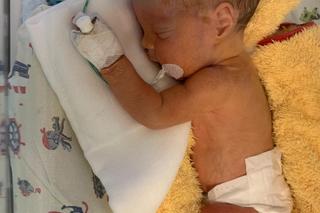 Antoś Matuła z Maciejowic