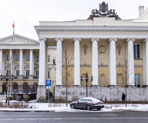 Nowe drzewa i krzewy na placu Bankowym w Warszawie, grudzień 2023 r.