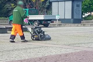 Na placu Lotników kosili bruk?