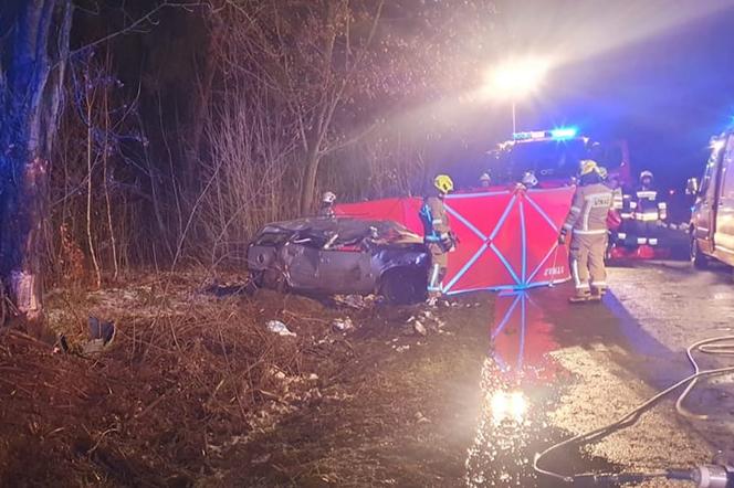 Potworny wypadek pod Łosicami. 17-latek roztrzaskał auto na drzewie. Jego pasażer nie żyje