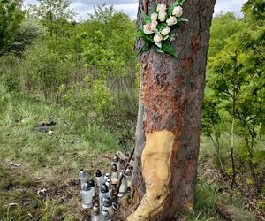 Natalia straciła ukochanego, sama walczy o życie. Koszmar zamiast radosnej majówki