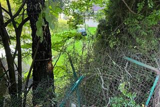 Samochód osobowy wypadł z drogi, wylądował w kwietnikach, a kierowca... Poszedł do domu