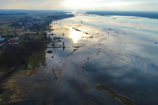 Wiosna nad Biebrzą [ZDJĘCIE DNIA]