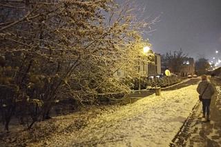 Pierwsze opady śniegu. Zobacz jak wyglądają Kielce w zimowej szacie