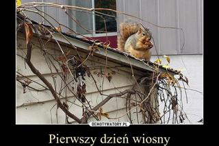 Memy na pierwszy dzień wiosny