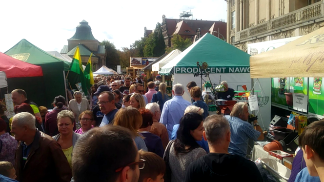 Pamiętajcie o ogrodach