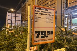 Gdzie kupić choinki w Krakowie? Znamy ceny