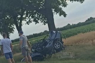 Wyskoki. Auto uderzyło w drzewo. Nie żyją dwie osoby