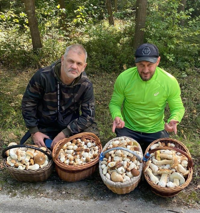 Październikowy wysyp grzybów w świętokrzyskich lasach