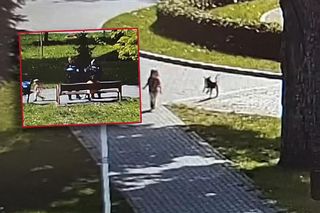 „Wciągnęła kreskę” i straciła córeczkę z oczu