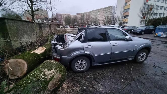 Powalone drzewa uszkodziły zaparkowane samochody