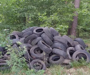 Las pod Szczytnem wygląda jak skup opon. Leśnicy szukają sprawcy