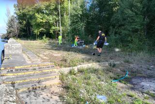 Sprzątanie dawnej plaży Mieleńskiej