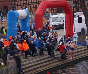FOCUS Ice Swimming Bydgoszcz Festival 2023 [ZDJĘCIA]