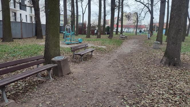 Park przy ulicy Gronowskiej w Lesznie