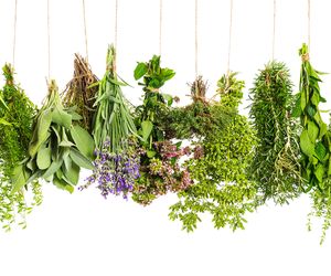 Zioła na BÓL GARDŁA: tymianek, szałwia, rzepik