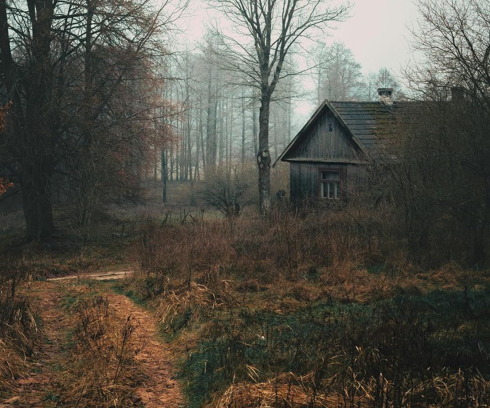 Gdzie woj. lubelskie najbardziej się wyludnia? Najnowsze dane GUS