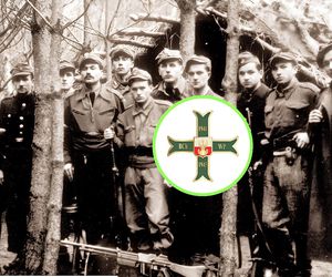 Żywili i bronili – Bataliony Chłopskie, nieco zapomniani partyzanci II WŚ