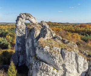 Szlak Orlich Gniazd - najpiękniejszy na Jurze Krakowsko-Częstochowskiej