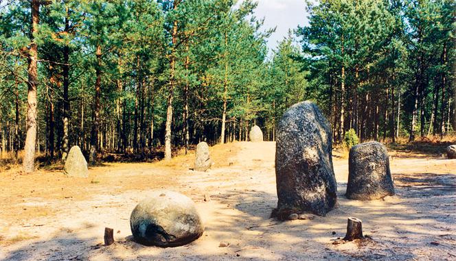 Super Fokus : Tajemnicze kamienne kręgi w Polsce