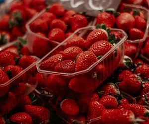 W woj. lubelskim już zebrano pierwszą łubiankę truskawek