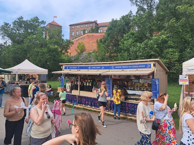 Smoczy Piknik Rodzinny 2025 w Krakowie