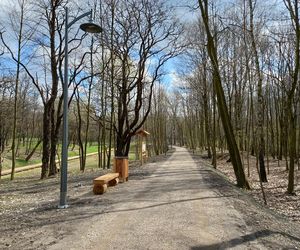 Rów Kalny w Sosnowcu znajduje się w Parku Tysiąclecia