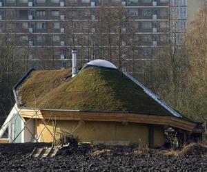  Przekierowanie, Edible Park by Nils Norman