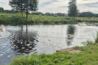 Wyłowiono 600 kg martwych ryb. „Doszliśmy do ściany. Pomóżcie”.