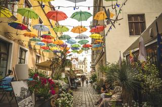 Chełmno i Grudziądz - co zwiedzić w tych pięknych miastach w Kujawsko-Pomorskiem? Oto, co polecają Wędrowne Motyle