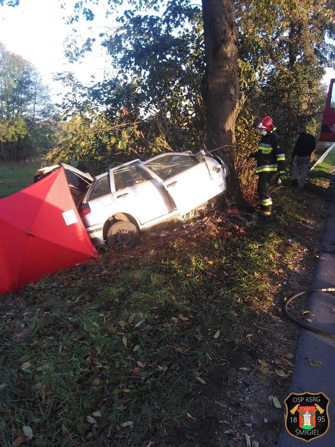 32-latek zginął na drodze! Dramat w powiecie kościańskim 