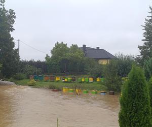 Zagrożenie powodziowe. Głuchołazy. Woda przelała się przez wały. Zalewa miasto