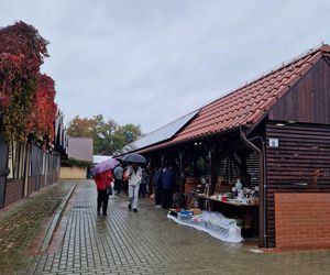 Pchli targ z Pucku. Mimo złej pogody, sporo chętnych. Zobaczcie tylko, co udało nam się kupić!