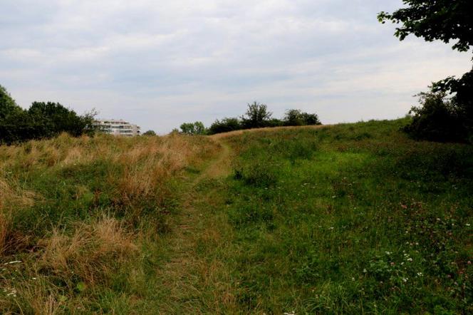 Nowy park na Ursynowie 