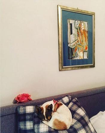 Tak mieszka Marta Kaczyńska
