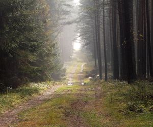 To największy kompleks leśny na Mazurach. Co krok pojawiają się malownicze jeziora