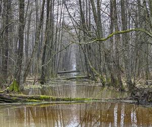 Trwa remont zabytkowego pałacu w Sztynorcie. Na jakim etapie są prace?