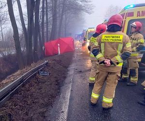 Wypadek śmiertelny w Grodźcu na DK 46