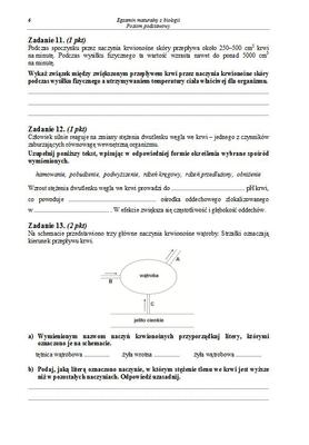 Matura 2013 biologia p. podstawowy