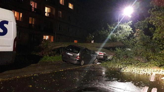 Orkan Ksawery nad Małopolską: Powalone drzewa, utrudnienia w ruchu [ZDJĘCIA, WIDEO]