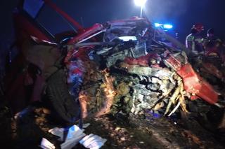 Pomorskie. Tragiczny wypadek koło wsi Zdrada [29.11.2022]