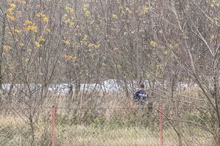 Makabryczne odkrycie. Odnaleziono ciało człowieka. Zwłoki dryfowały w Kanale Żerańskim